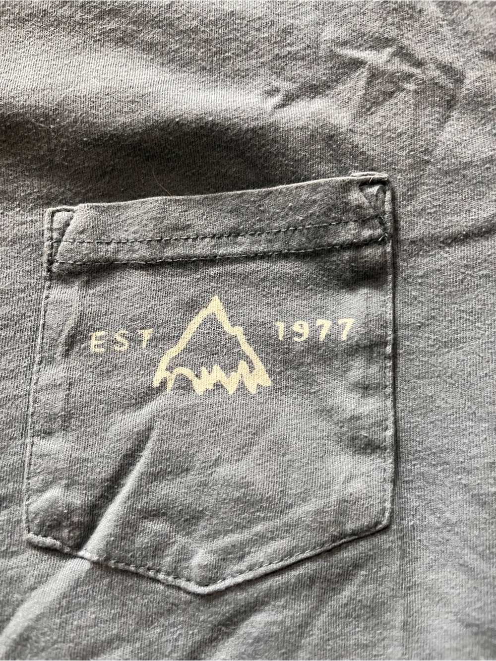 Burton Gray Crewneck Tee with White Logo